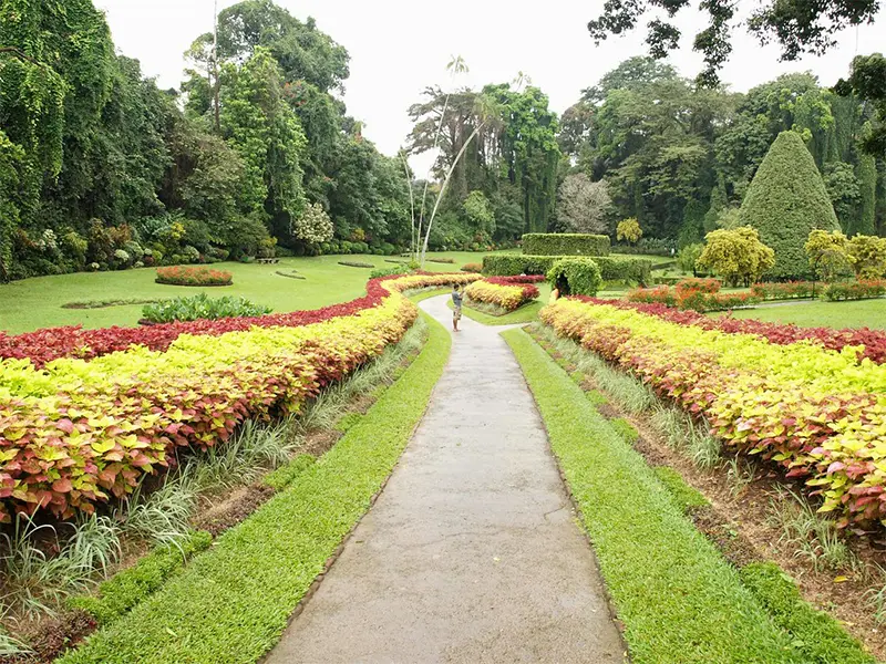 Botanical Garden Peradeniya