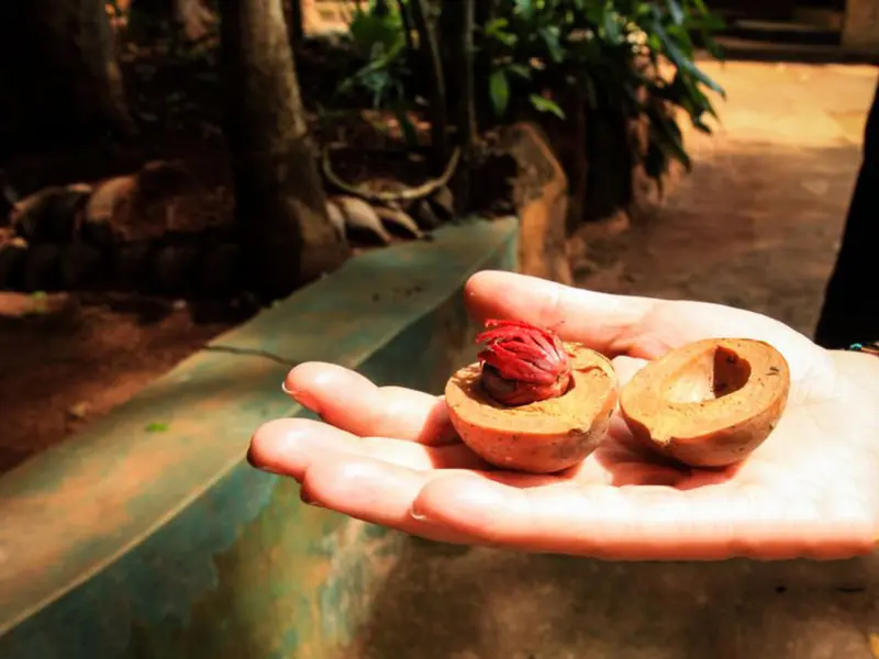 Spice Garden Sri Lanka