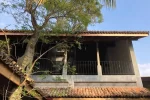 Neem Aura